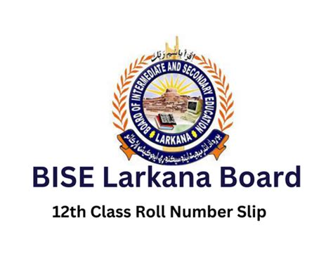 Bise Larkana Board Th Class Roll No Slip