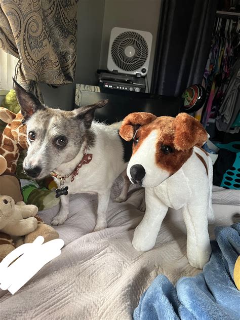 This is my bestfriend Chumlee. He just turned 14 in September. We have