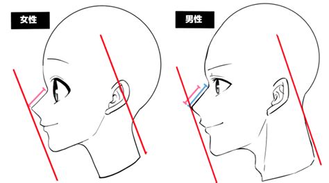 横顔の描き方は基本が大事！初心者によくある横顔作画上達の悩みを解説 イラスト・漫画マンガ教室 Egacoエガコ