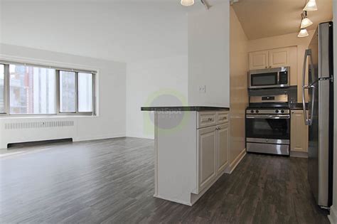 41 E Banks St Chicago Il 60610 Condo For Rent In Chicago Il