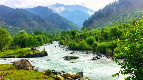 Chandanwari In Pahalgam Top Things To Do And Best Time To Visit