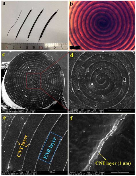 Figure 1 From Spirally Structured Conductive Composites For Highly