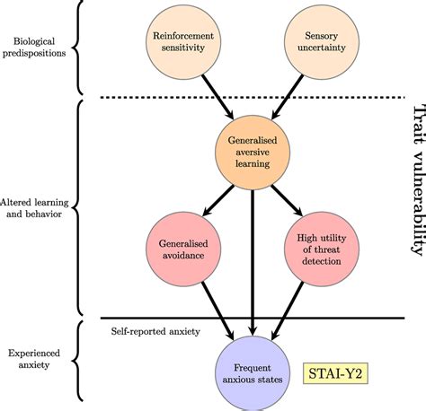 Frontiers Modeling Trait Anxiety From Computational Processes To