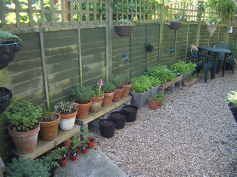 How To Grow Your Own Vegetables In Pots And Containers Dengarden