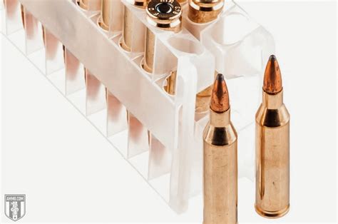 6mm Arc Vs 243 Cartridge Comparison By