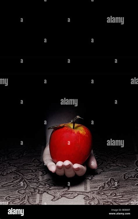 Red apple in hand Stock Photo - Alamy