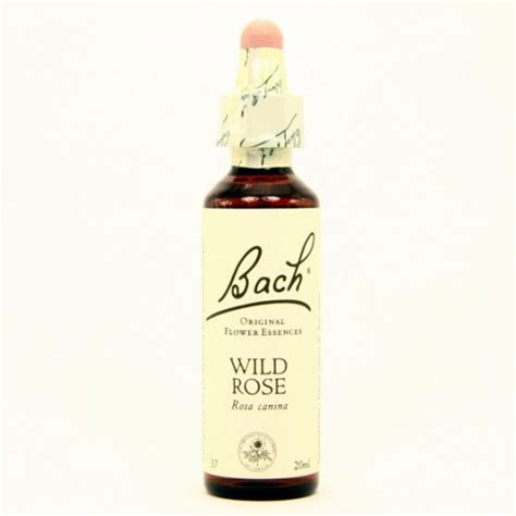 Fleurs De Bach Wild Rose Ml