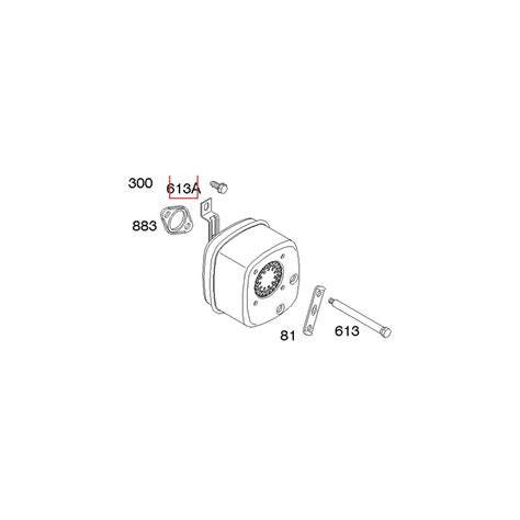 Tornillo Original Briggs Stratton Para Motor De Cortac Sped