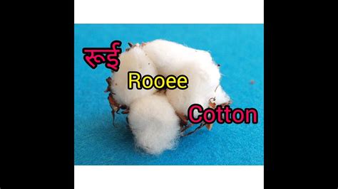 Cotton Meaning In Hindi With Picture Short Cotton Hindi