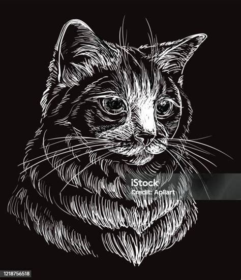 Potret Kucing Vektor Hitam 5 Ilustrasi Stok Unduh Gambar Sekarang