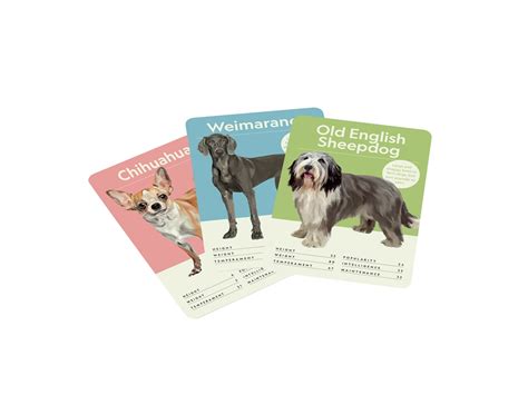 Dog Nerd Thames And Hudson Australia And New Zealand