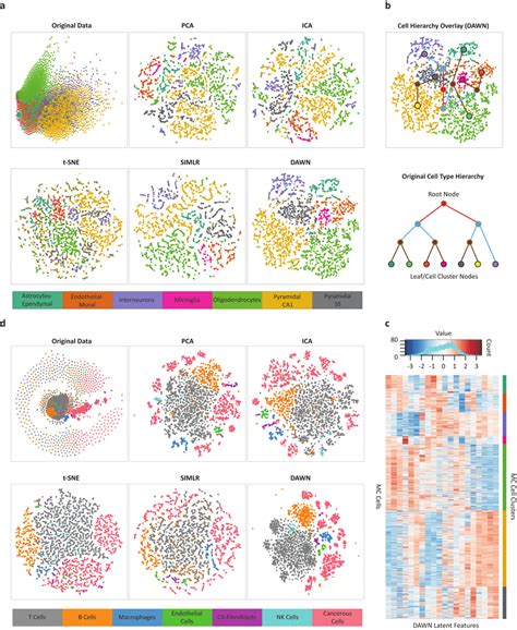 Analysis of clustering performances using visualization approaches. (а ...