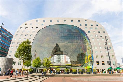 From Amsterdam Rotterdam Delft The Hague Guided Day Tour Getyourguide