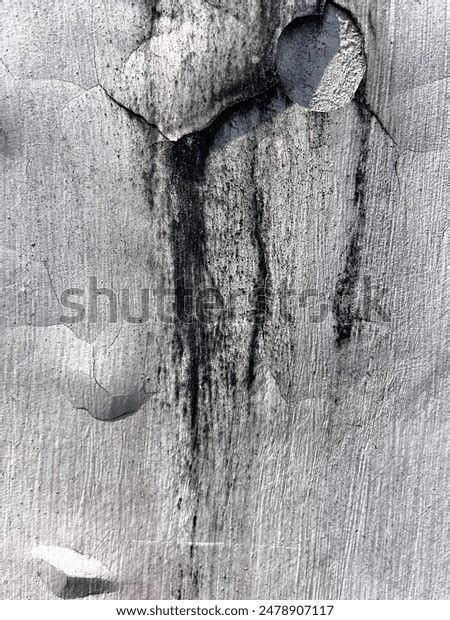 wallpaper dinding images stock   objects vectors