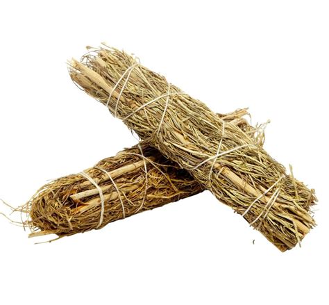 Desert Sage Cliparts Png Images Pngwing 3422382