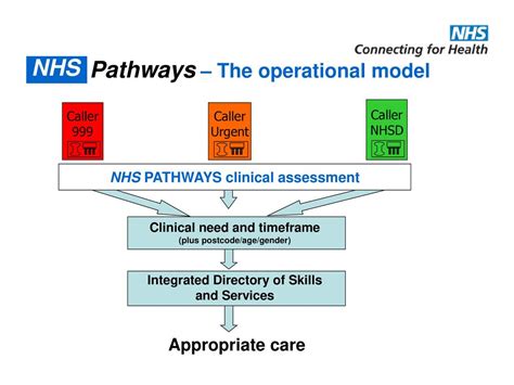 Nhs Pathways Nov Dr Peter Fox Deputy Clinical Director Ppt