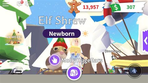 Got the elf shrew | Roblox (Adopt Me) Amino