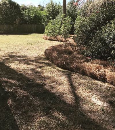 Pine Straw Installation – Napier Lawn Care