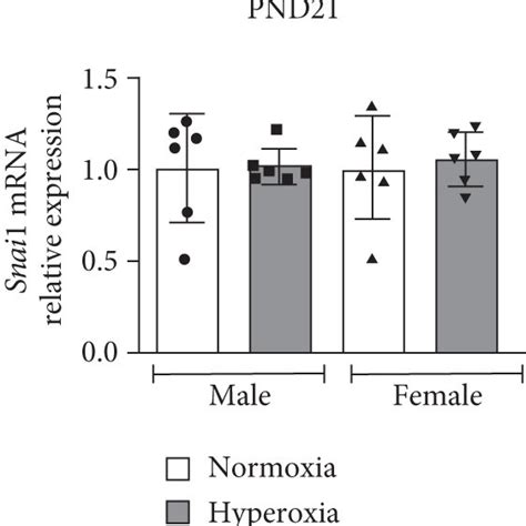 Differential Sex Specific Expression Of Snai1 In Neonatal Mice After