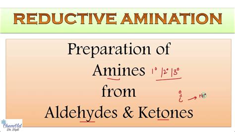 Reductive Amination Preparation Of Amines Aldehydes And Ketones Organic Chemistry Youtube