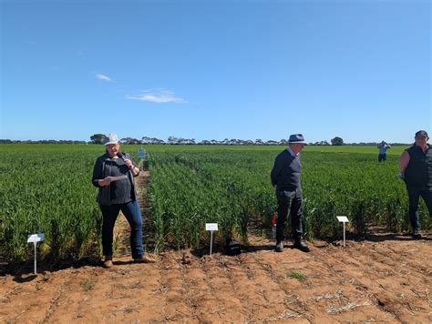 Coming Together for a Resilient Future with Insights from the 2025