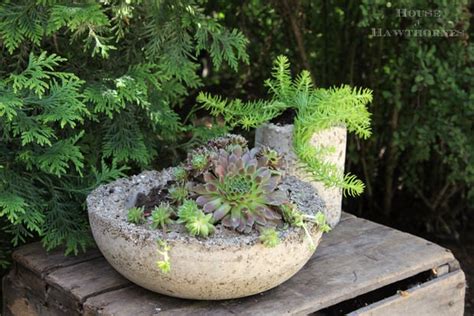 Easy Diy Hypertufa Projects • The Garden Glove