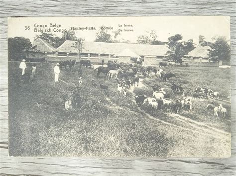 Tr Carte Postale Timbre Congo Belge Kaufen Auf Ricardo