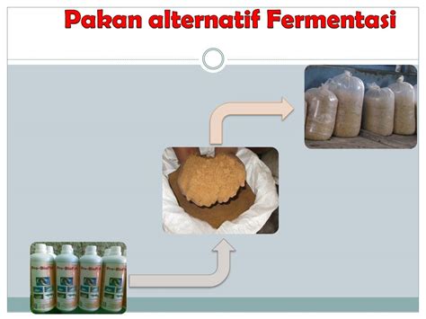 Materi Tertayang Penyuluhan Perikanan PROBIOTIK PADA BUDIDAYA IKAN