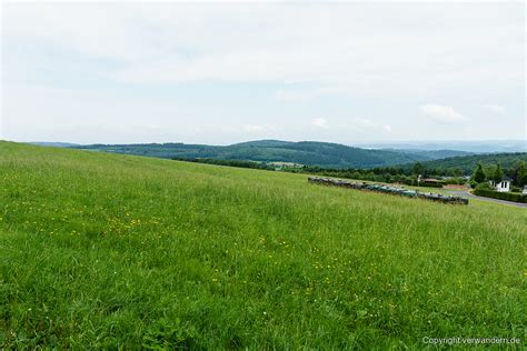 Natursteig Sieg Etappe Scheuerfeld Alsdorf