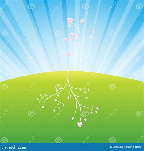 Growing Love Stock Vector Illustration Of Purity Root 20879826