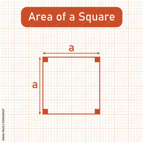 area   square shape  formula  mathematics vector illustration