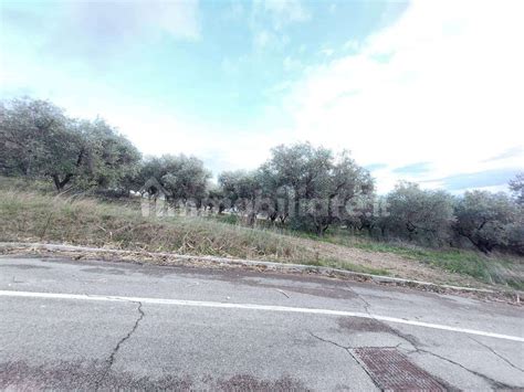 Terreno Agricolo Castel Frentano Rif Immobiliare It