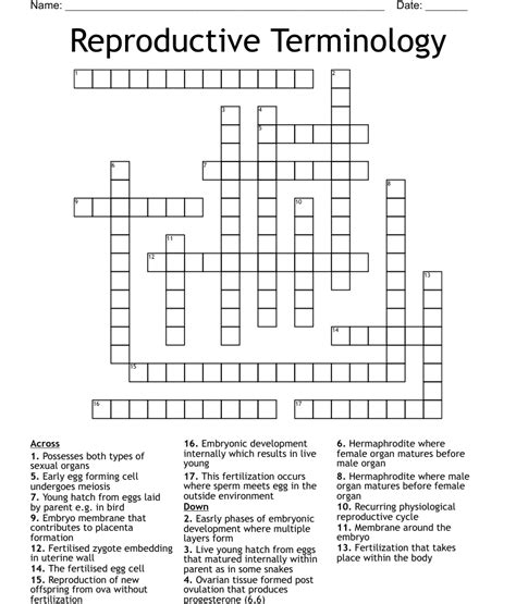 Reproductive Terminology Crossword Wordmint