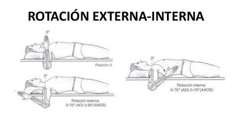 Articulaci N Glenohumeral En Estudiante De Fisioterapia