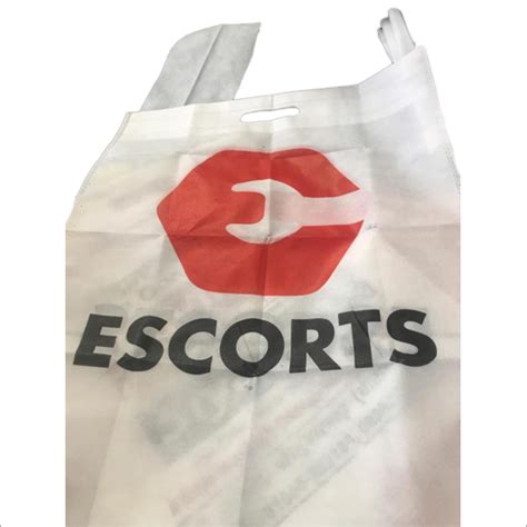 D Cut Non Woven Carry Bags At 135 00 Inr In Delhi Winsome Bags