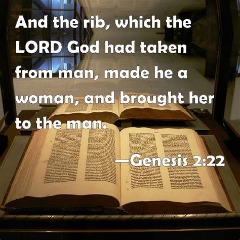 Genesis 2:22 And the rib, which the LORD God had taken from man, made he a woman, and brought ...