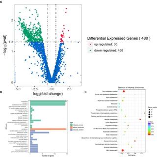 Transcriptomic Analysis Of E Cloacae Between Rpos Rnai And Wild Type