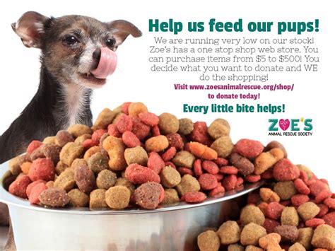 Urgent Request for Dog Food Donations