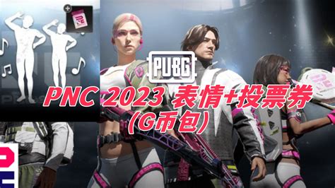 Pubg Pnc 2023 表情投票券g币包cdkey激活码兑换码充值卡游戏账号 Igxe电竞饰品交易平台