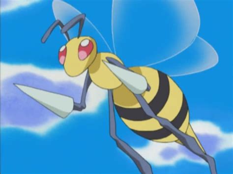 Beedrill Casey Pokémon Wiki Fandom