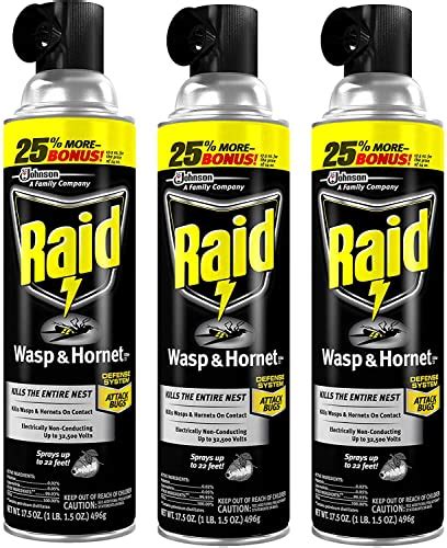 Raid Best Wasp And Hornet Spray