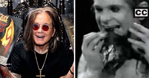 Did Ozzy Osbourne really bite off the head of a live bat? Here's the ...