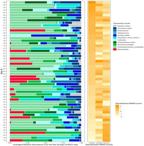 The Impact of Early Life Experiences and Gut Microbiota on ... 