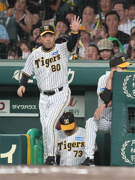 【阪神】虎党歓喜！甲子園ビジョンに他球団速報広島がビハインドの展開 プロ野球写真ニュース 日刊スポーツ