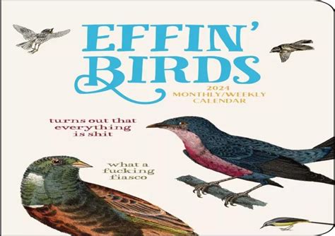 Ppt Ebook ️ Download ⚡️ Effin Birds 2024 Wall Calendar Powerpoint