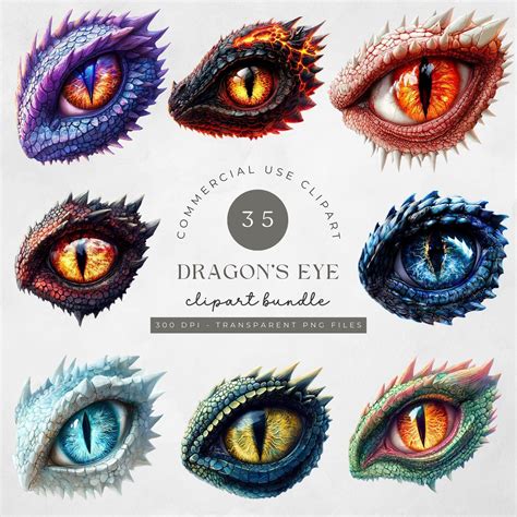 Realistic Dragon Eyes Clipart Green Red Blue Illustrations Fantasy