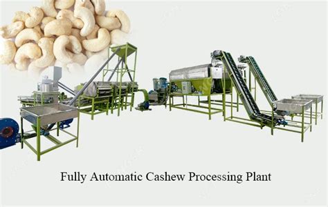 Fully Automatic Cashew Processing Plant Cost 3 10 Ton