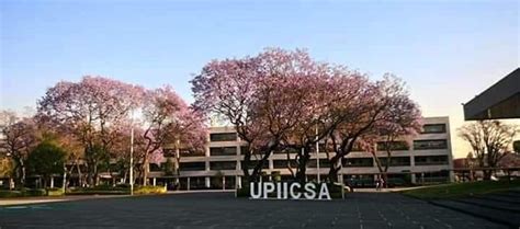 Inducción Upiicsa 2025