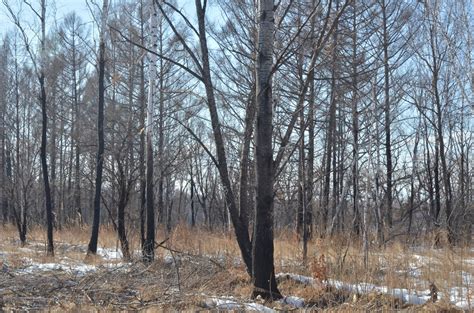 В пятёрку лучших регионов Дальнего Востока вошла ЕАО количеству ...