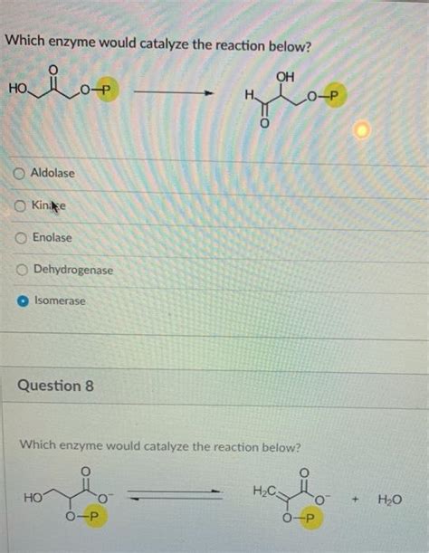 Solved Which Enzyme Would Catalyze The Reaction Below Chegg